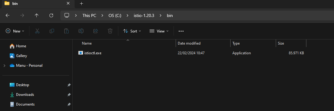 istio bin file path